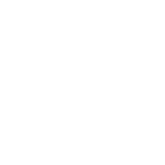 SEARCH ENGINE OPTIMIZATION (SEO)
