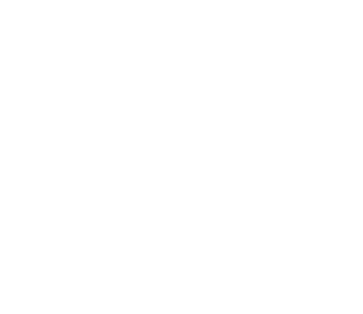 CUSTOM WEBSITES